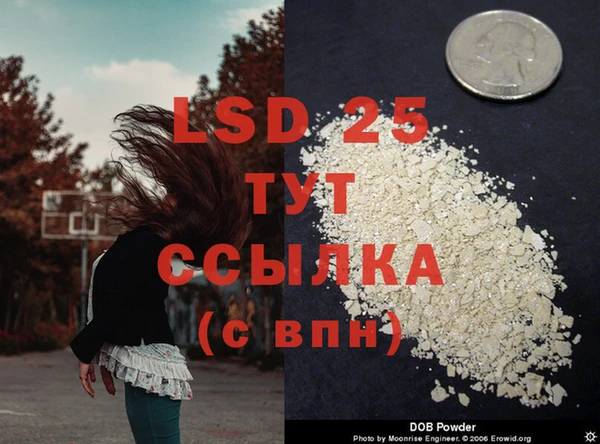 ГАЛЛЮЦИНОГЕННЫЕ ГРИБЫ Арсеньев