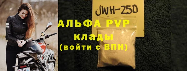 прущие грибы Аркадак