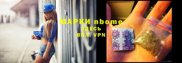 прущие грибы Аркадак