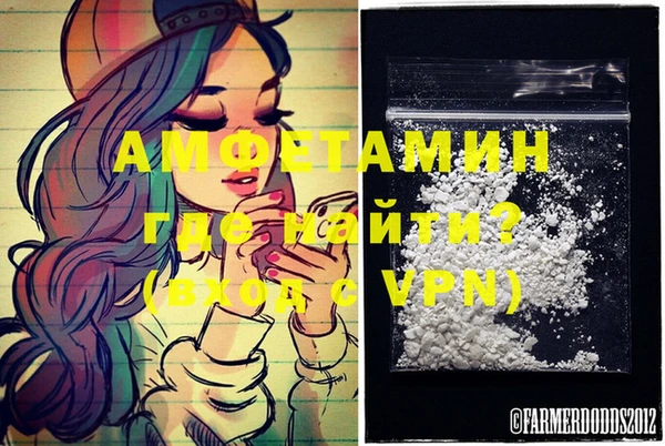 ГАЛЛЮЦИНОГЕННЫЕ ГРИБЫ Арсеньев