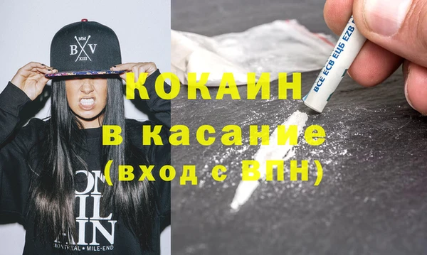 прущие грибы Аркадак
