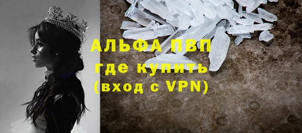 прущие грибы Аркадак